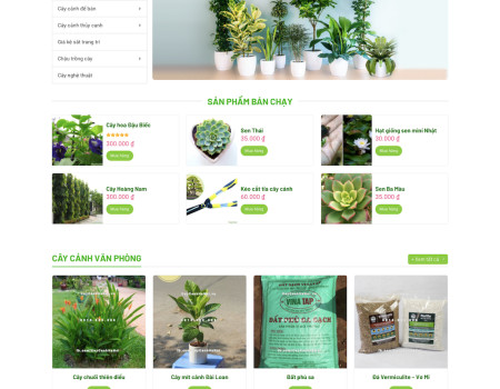 Dự án cây cảnh Hà Nội