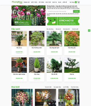 Dự án Phương Rosa