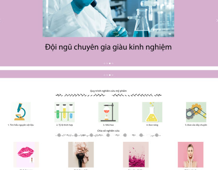 Dự án Mỹ Phẩm Anh Sang