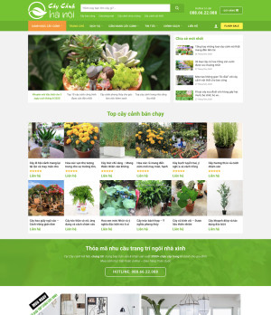 Dự án cây cảnh Hà Nội