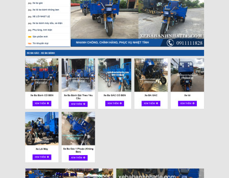 Dự án Xe Ba Bánh Nhật Lệ