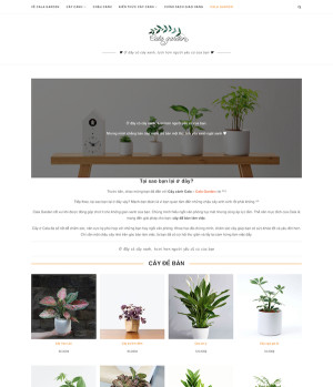 Dự án cây cảnh Cala